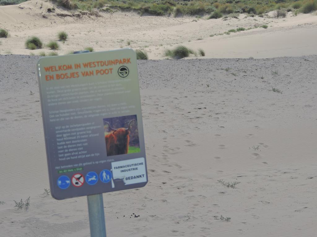Sea & Dunes Haga Zewnętrze zdjęcie